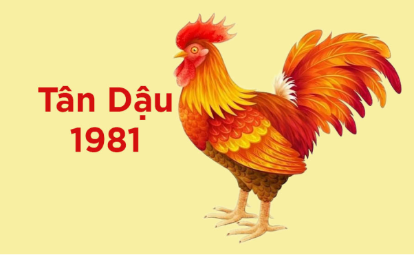 Tuổi Tân Dậu hợp với màu nào?